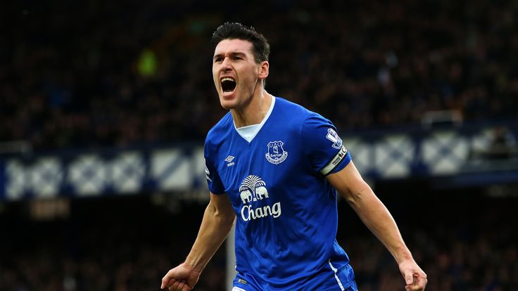 Gareth Barry celebrates after scoring Everton's equaliser against Swansea