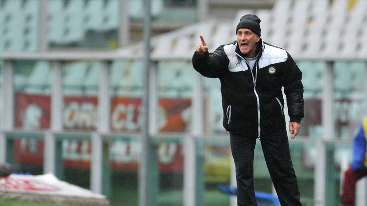 Francesco Guidolin has been appointed head coach by Swansea City
