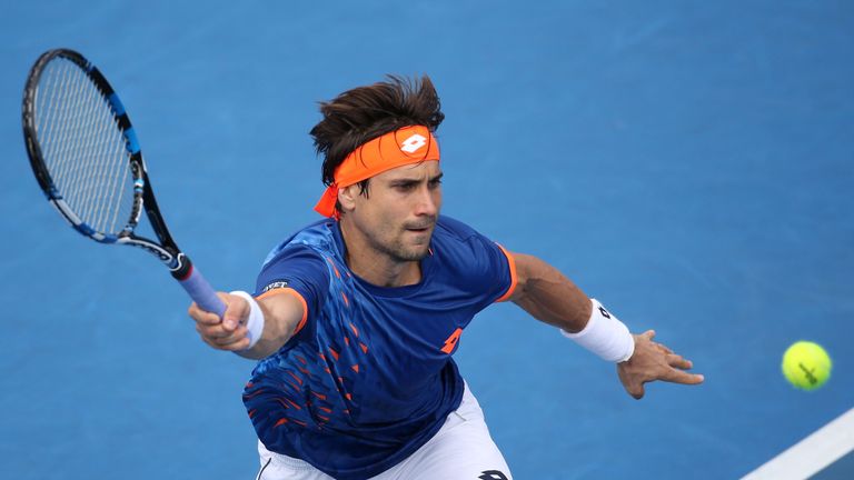 David Ferrer beat Steve Johnson in the third round in Melbourne