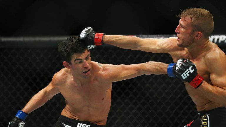 Dominick Cruz (L) fights T.J. Dillashaw in their bantamweight bout during UFC Fight Night 81 at TD Banknorth Garden on January 17