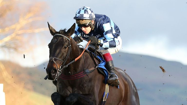 Garde La Victoire ridden by Richard Johnson jumps the last to win The Racing UK Winter Season Ticket Novices' Steeple Chase at Ludlow Racecourse, Shropshir