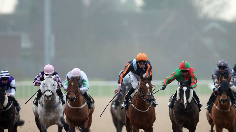 Perfect Cracker at Wolverhampton Racecourse