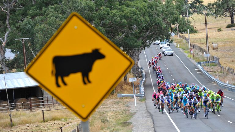 Santos Tour Down Under 2016 generic