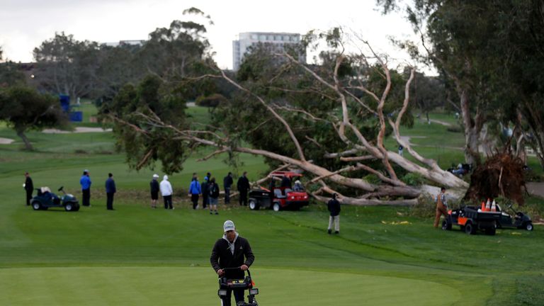 Course workers clear a fallen tree from the 15th fairway before play resumes during the final round of the Farmers Insurance Open