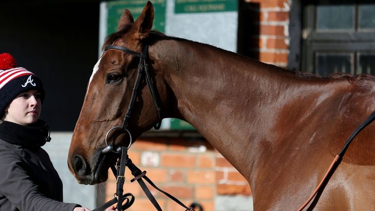Silviniaco Conti during a stable visit to Manor Farm Stables, Ditcheat. PRESS ASSOCIATION Photo. Picture date: Tuesday February 9, 2016. Photo credit shoul