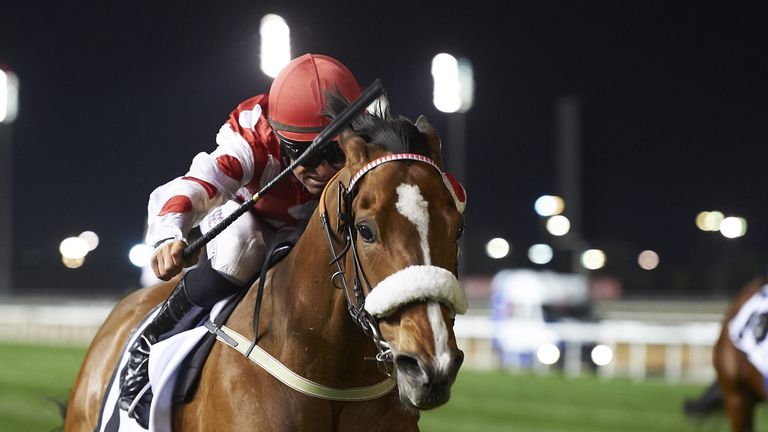 Sir Maximilian (Credit: Dubai Racing Club // Andrew Watkins)