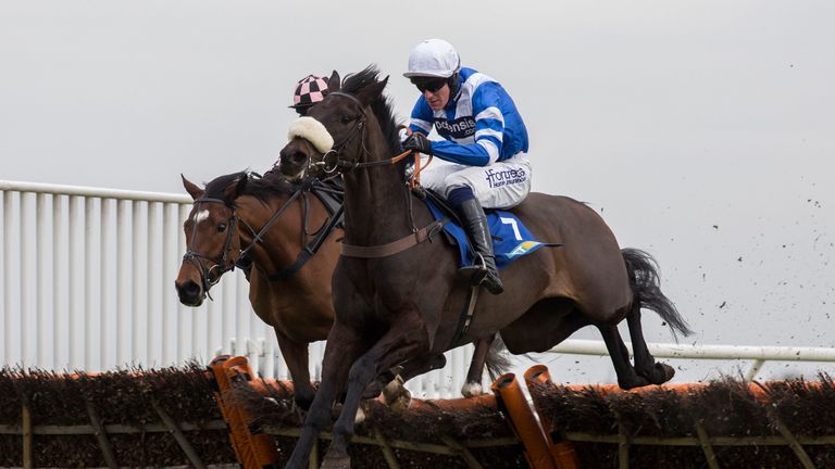 Zubayr ridden by Nick Scholfield clears the last flight before going on to win The BetBright REALFANSONLY Adonis Juvenile Hudle Race run during the BetBrig