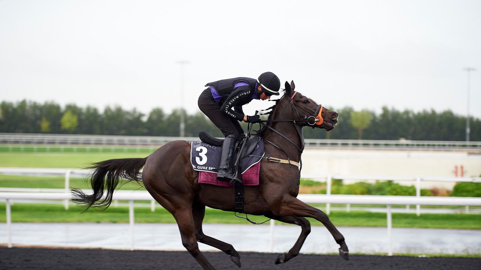 Sole Power and Muthmir target Dubai World Cup night glory Racing News