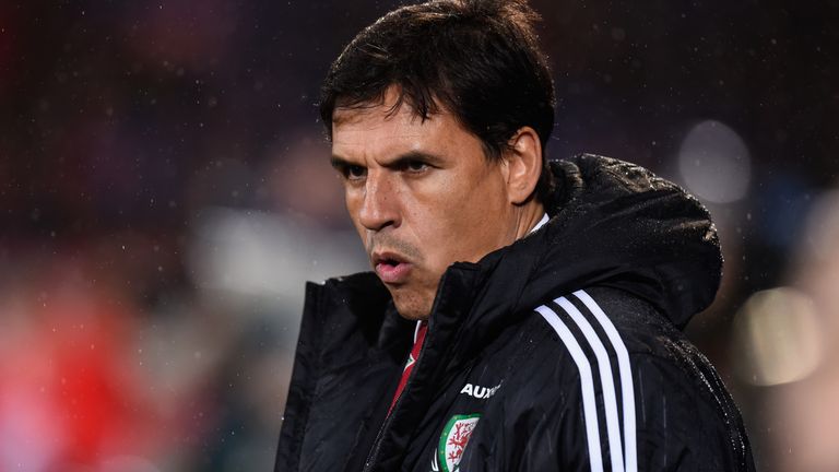Wales coach Chris Coleman was happy with the draw against Northern Ireland 