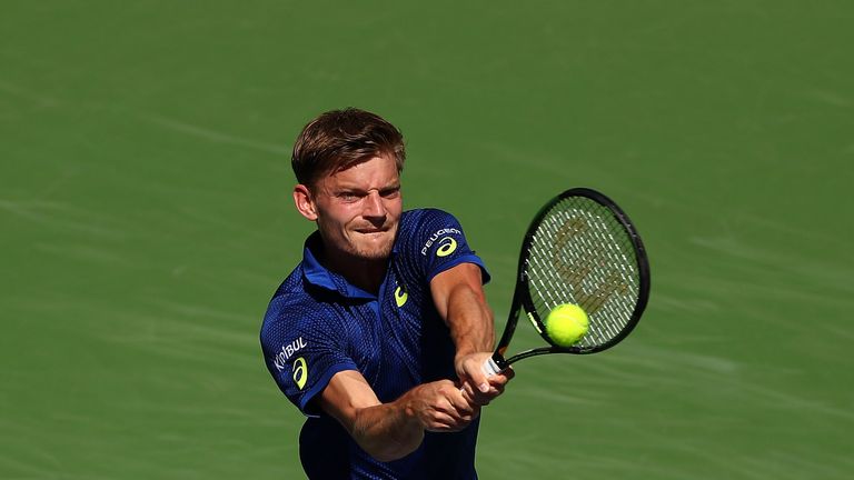 David Goffin