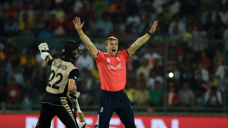 David Willey appeals for LBW