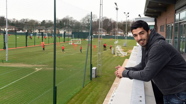 Luis Suarezwatches the current Liverpool squad train at Melwood 