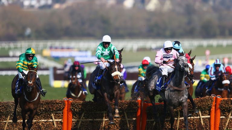 Mall Dini (C) Arpege D'Alene (R)