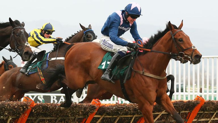 Qualando will bid for a second Cheltenham Festival win in as many years