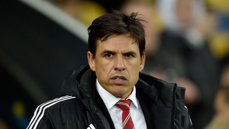 Wales manager Chris Coleman ahead of the international friendly with Ukraine