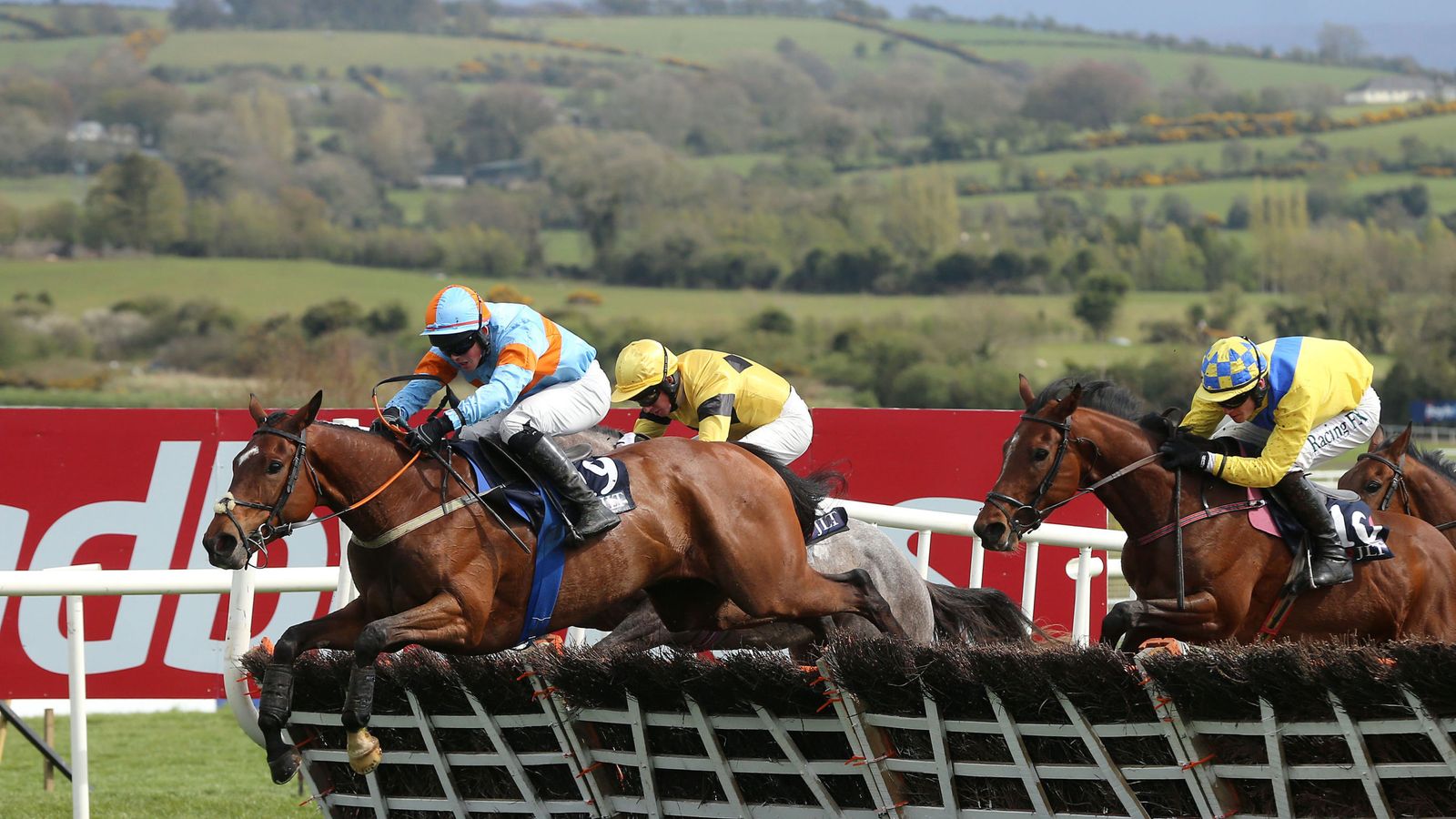 Elusive Ivy not for catching at Punchestown Festival Racing News