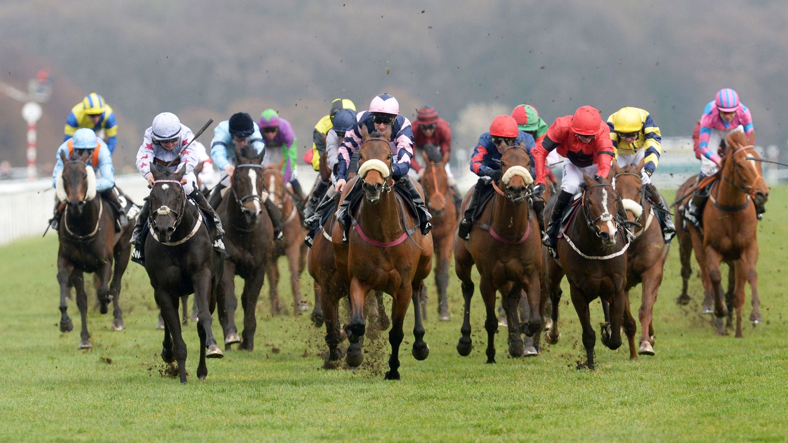 The going at Doncaster is good to soft for the Ladbrokes St Leger ...