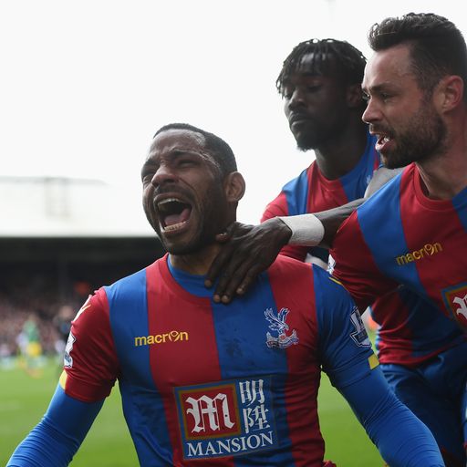 Crystal Palace 1-0 Norwich