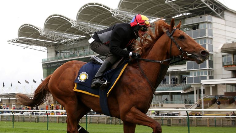 Some high profile horses work before racing including Galileo Gold and Frankie Dettori