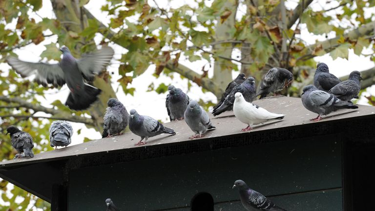 Here are a few of Jamie's old friends...