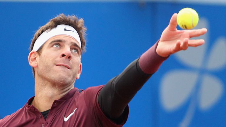 Argentina's Juan Martin del Potro