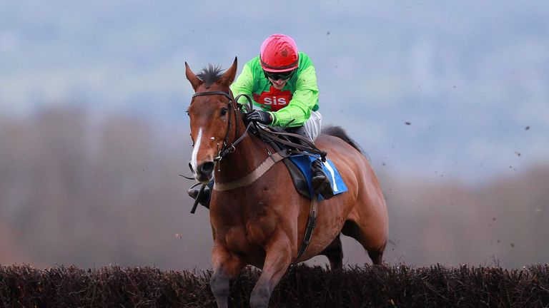 Buywise ridden by Adam Wedge jumps the last on their way to victory in the Sidney Phillips Novices' Handicap Chase at Ludlow Racecourse.