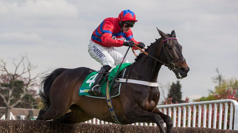 Sprinter Sacre ridden by Nico de Boinville clears the last fence before going on to win The bet365 Celebration Steeple Chase Race run during bet365 Jump Fi