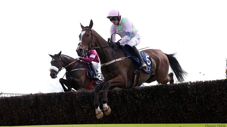 Vautour 