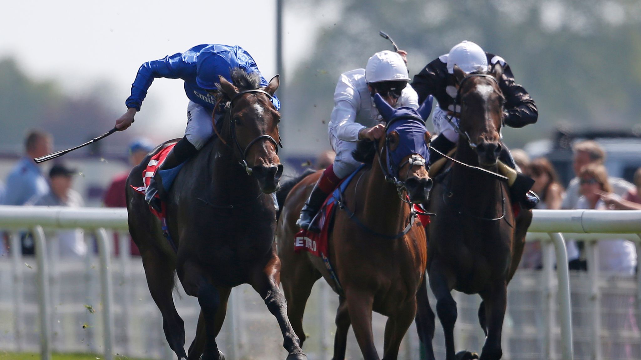 James Fanshawe's Sppedy Boarding set for France Racing News Sky Sports