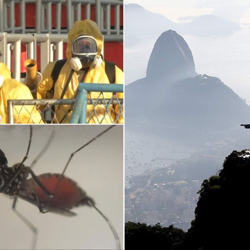 WHO wants new risk assessment