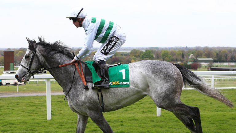 Algometer ridden by jockey Jim Crowley goes to post for the bet365 Classic Trial at Sandown in April 2016