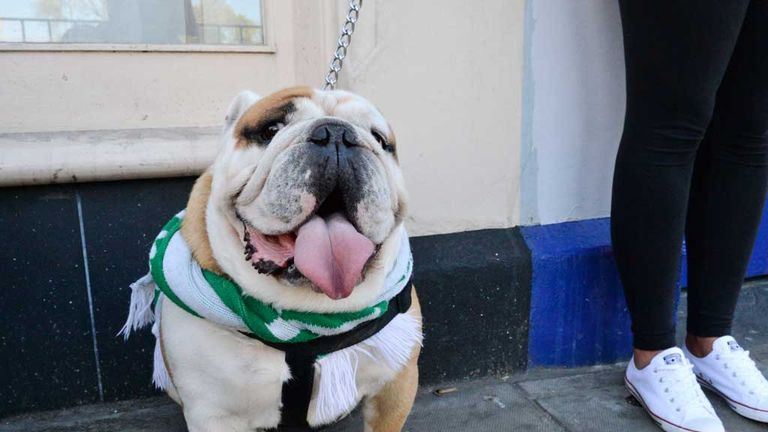 Everyone was primed to raise the woof as the team bus came past... 
