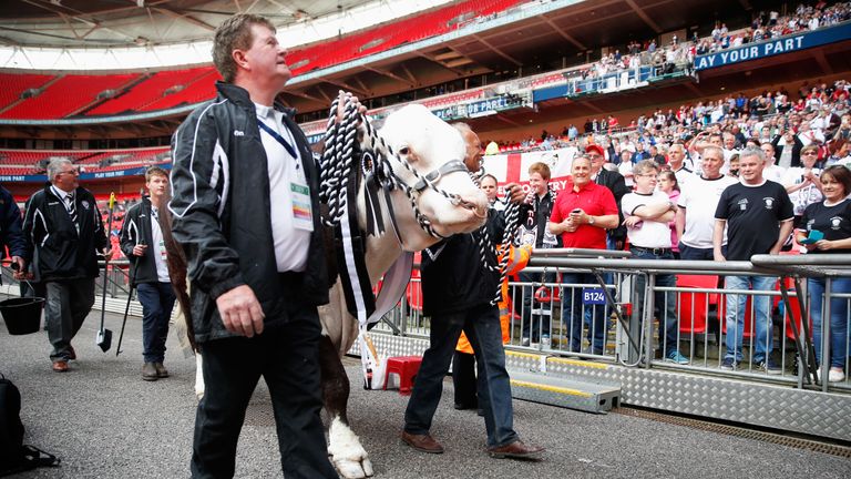 Hereford FC mascot "Hawkesbury Ronaldo" is paraded in front of fans