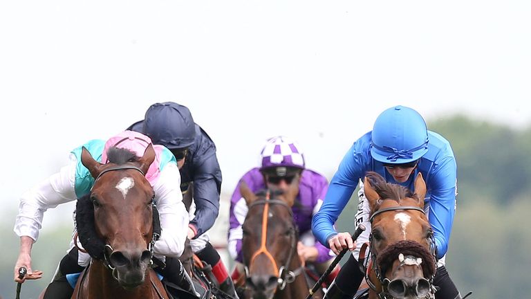 Home Of The Brave (right) Convey