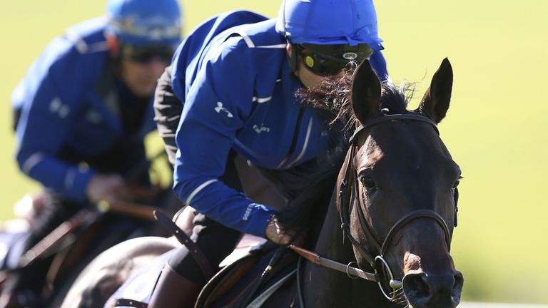 ...partner their Investec Derby hope Cloth Of Stars