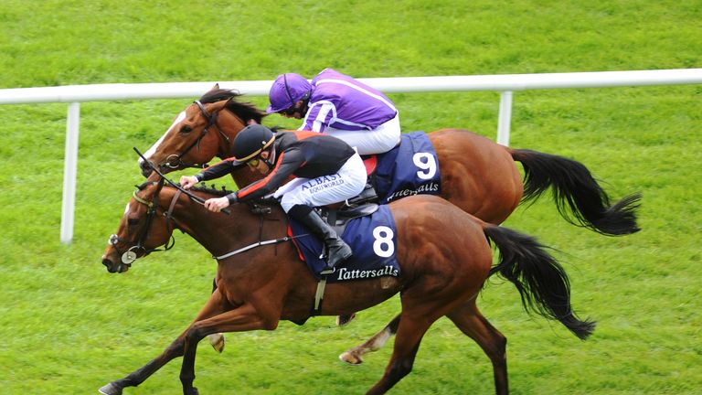 Jet Setting and Shane Foley just get the better of Minding and Ryan Moore after a cracking battle for the Tattersalls 1,000 Guineas at the Curragh.