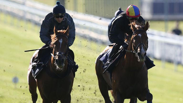 It's a busy morning for Frankie Dettori who has a spin on his Investec Derby hope Wings Of Dawn (right)