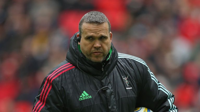 Harlequins academy manager Tony Diprose