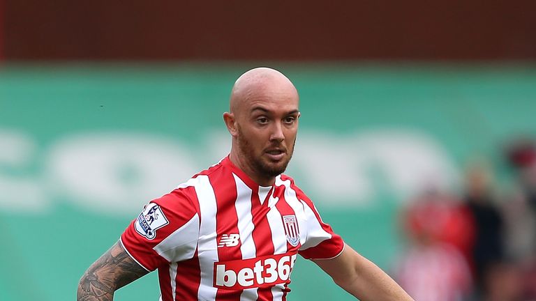 Stephen Ireland picked up his injury on Tuesday