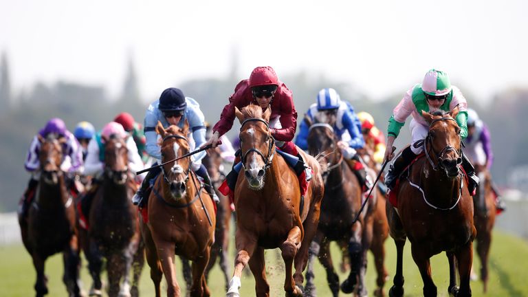 Wings Of Desire (C, red)