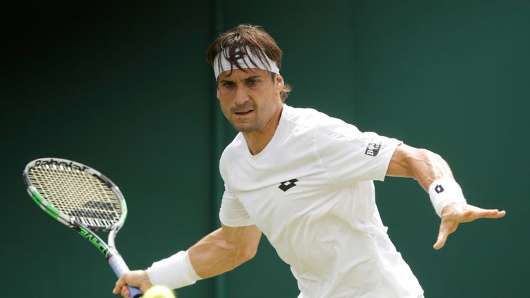 David Ferrer's Wimbledon campaign is over