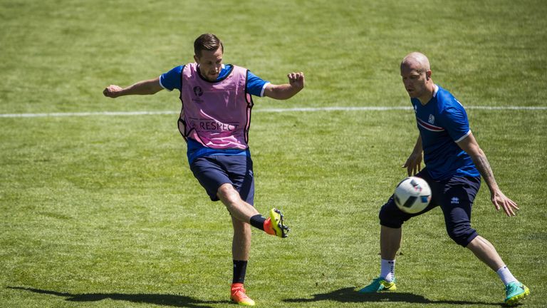 Gylfi Sigurdsson (left) top scored for his country during Euro 2016 qualification