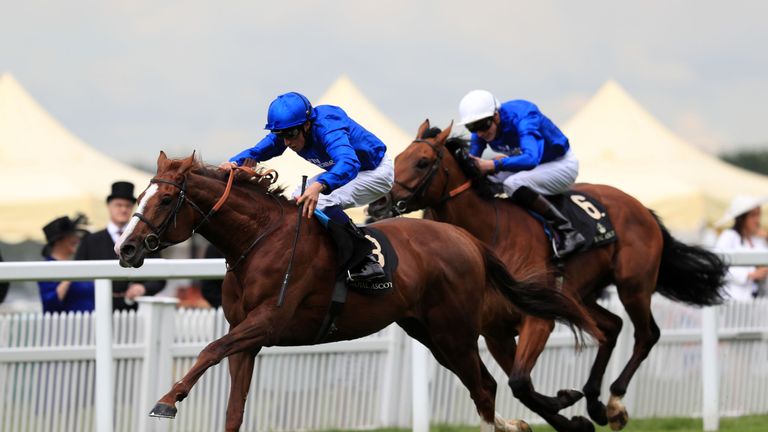 Hawkbill forges clear of Prize Money for a Godolphin one-two in the Tercentary Stakes