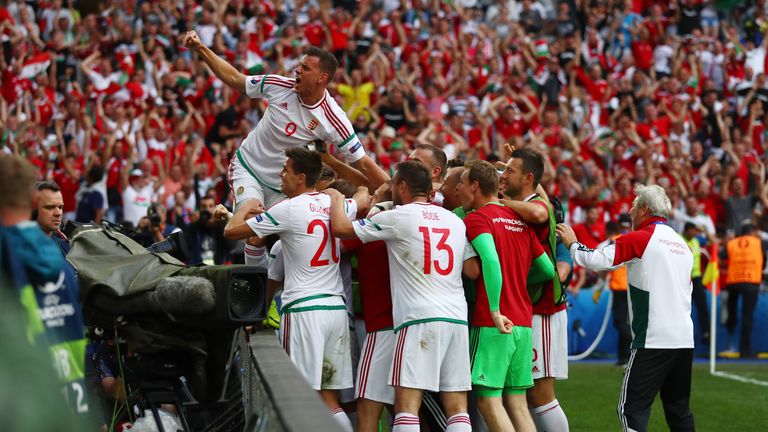 Hungary celebrate the late equaliser against Iceland