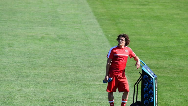 Julian Baumgartlinger is a tenacious ball-winning midfielder