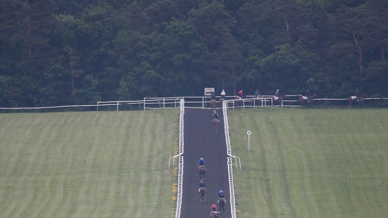 A general view as horses exercise on Warren Hill on June 9, 2016 