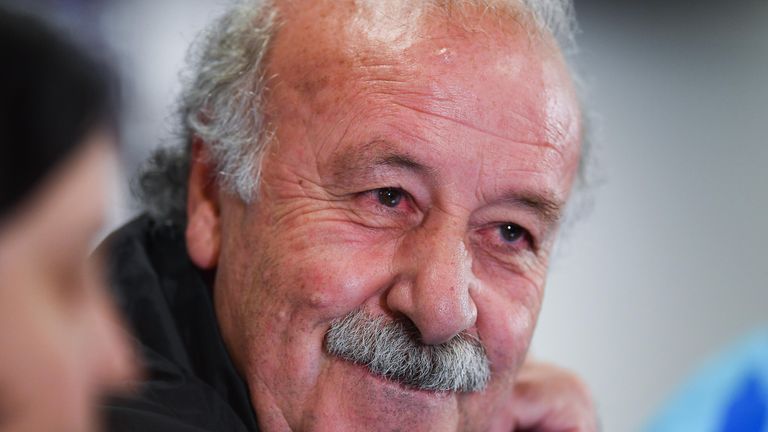 Vicente Del Bosque is pleased with how Euro 2016 preparations are going