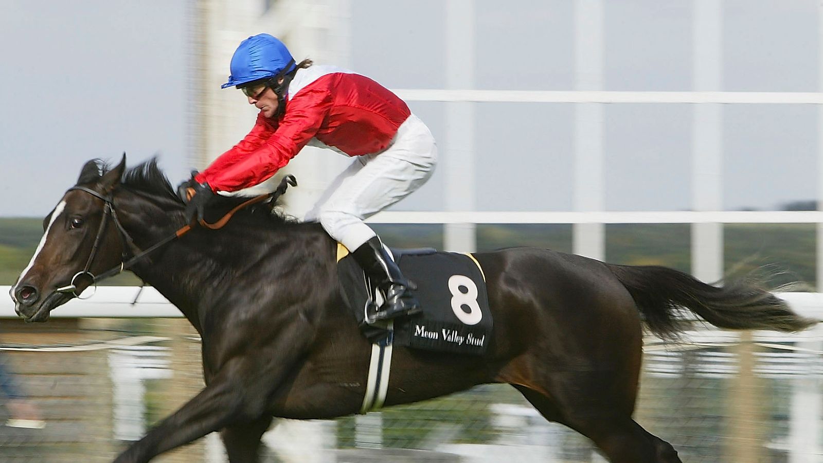 Richard Fahey looking to running Frankel colt at Leicester | Racing ...