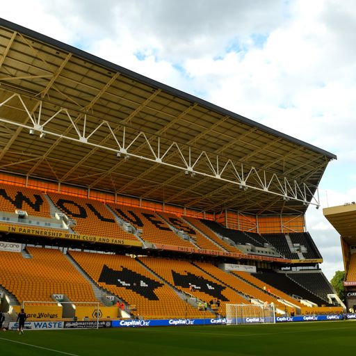 Wolves sold to Chinese group
