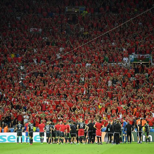 Wales' amazing journey ends